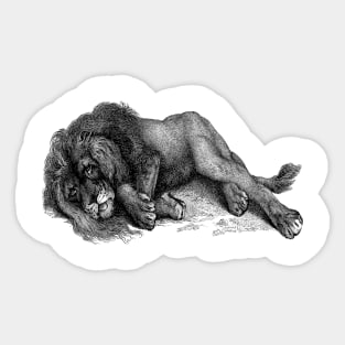 Lion Broke Sticker